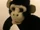 The Monkey