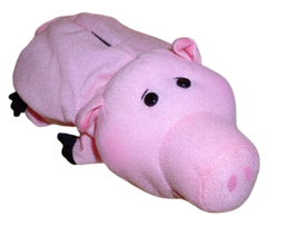 TransparentMrPig