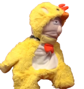 In a chicken suit