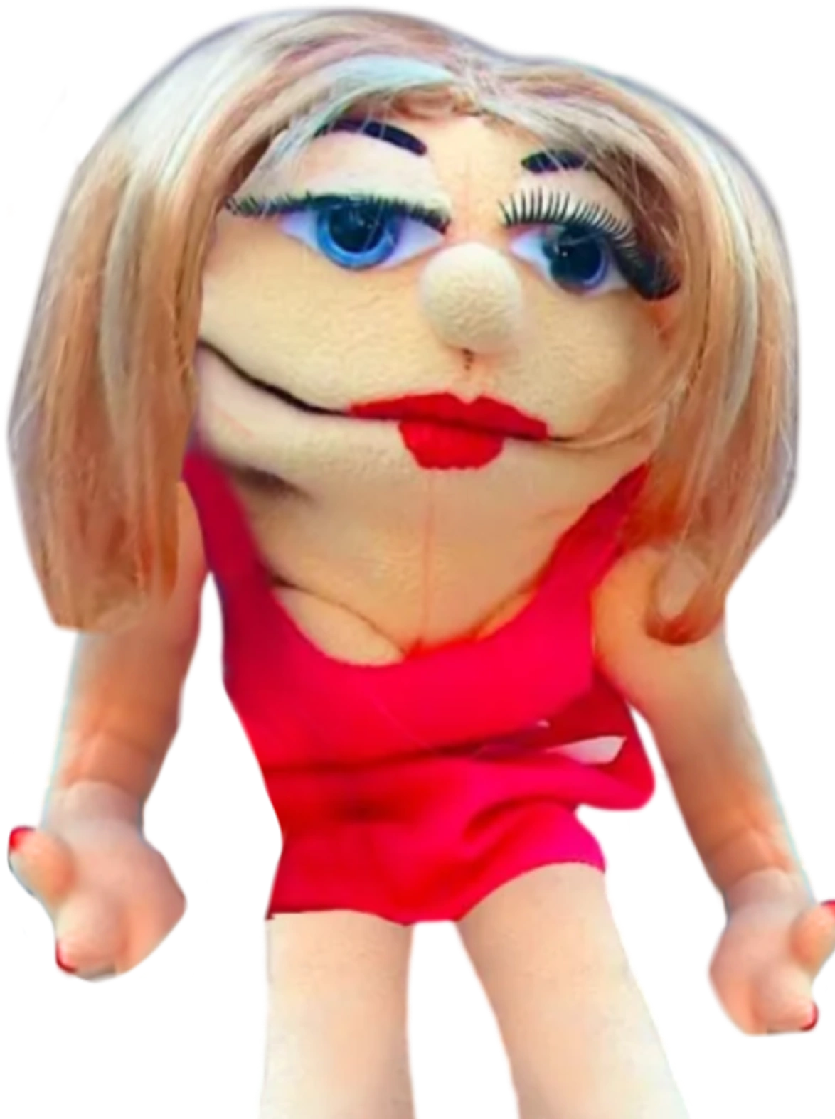 Flower Shop San Diego | Native Poppy in San Diego, image size:1174x1574