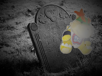 Bowser Jr Dies