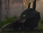 Toothless by xx nightfurygirl xx-d5e0jnj