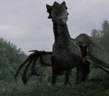 510 dragon.jpg