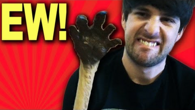 Kangaroo Arms in Our Mail