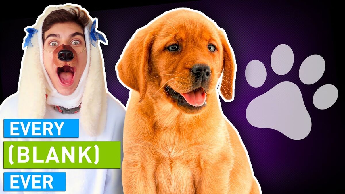 EVERY DOG EVER, Smosh Wiki