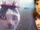 Insane Cat!