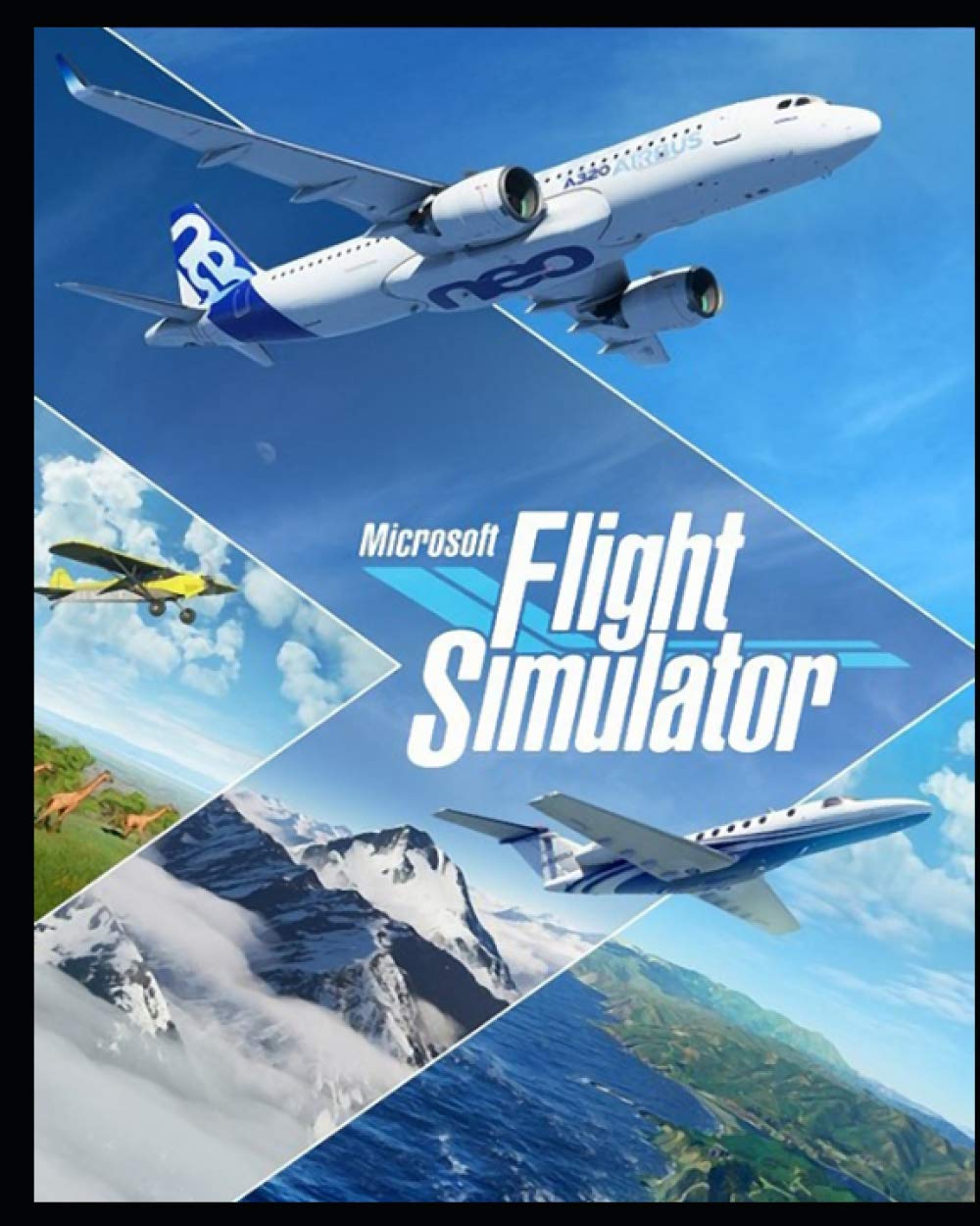 I made a custom steam cover icon for Flight Simulator from the '98 box art  : r/MicrosoftFlightSim