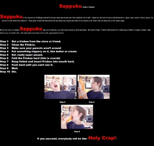 The Official Ninja Webpage: Real Ultimate Power | Smosh Wiki | Fandom