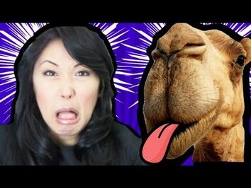 Camel Tongue in Yo Mouth