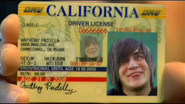 Anthony's driver's license.