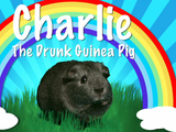 Charlie the Drunk Guinea Pig (character)