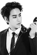 Kyuhyun for Swing (2014)