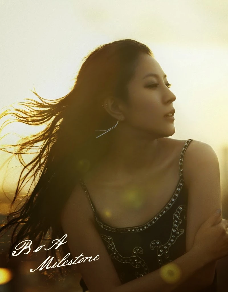 Milestone Smtown Wiki Fandom