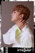 Haechan Regular-Irregular photo