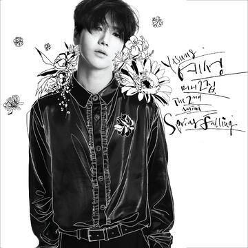美品 Younghoon Spring Falling CD 写真集 81beyR2aOWL._UF350,350_QL50_.jpg