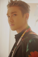 Siwon (Time Slip) 1