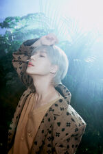 Taeminhard3.jpeg (3.56 MB)