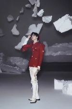 Taeminidea16.jpg (171 KB)