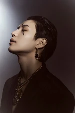 Taeminidea8.jpg (137 KB)