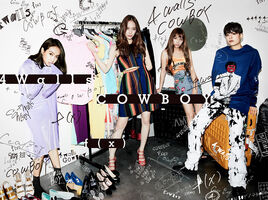 CD+DVD