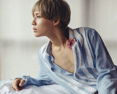 Pressittaemin-2