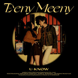 Uknoweenymeenycover