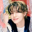 Taeminwedoicon