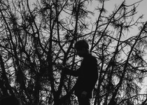 Taeminpressit14.jpg (517 KB)