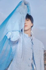 Taeminidea11.jpg (237 KB)