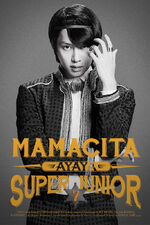 Mamacitaheechul