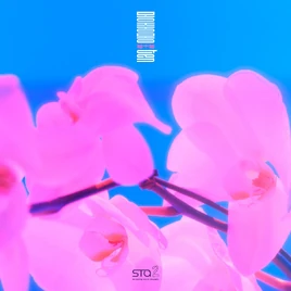Tendreaminadream
