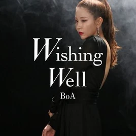 BoA Wishing Well