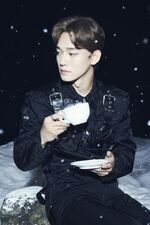 Chensmcupalace3