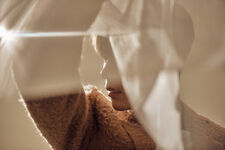 Taeminmoving11.jpg (280 KB)