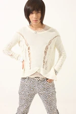 Hellotaemin.png (296 KB)