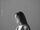 Four Seasons (Taeyeon Single)