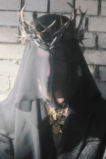 Taeminidea3.jpg (199 KB)