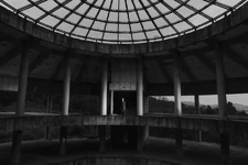 Taeminidea6.jpg (156 KB)