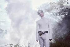 Taeminidea25.jpg (172 KB)