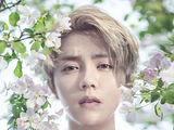 Luhan