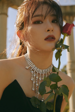 Seulgi ('The ReVe Festival' Finale) 6