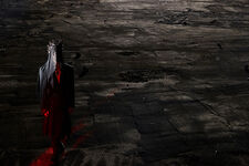 Taeminidea2.jpg (215 KB)