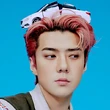 Sehunscicon