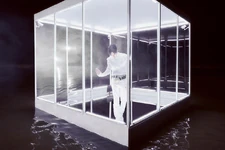 Taeminidea21.jpg (183 KB)