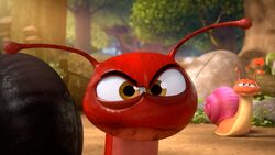 Angry gargamel snail