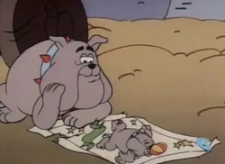 Bluster is fondly looking at the days when he was the star attraction.