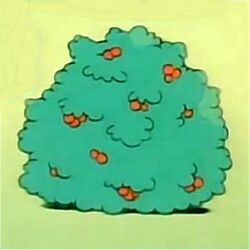 Smurfberrybush