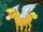 Pegasus (race)
