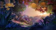 Forbidden Forest 1