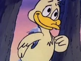 Ducky